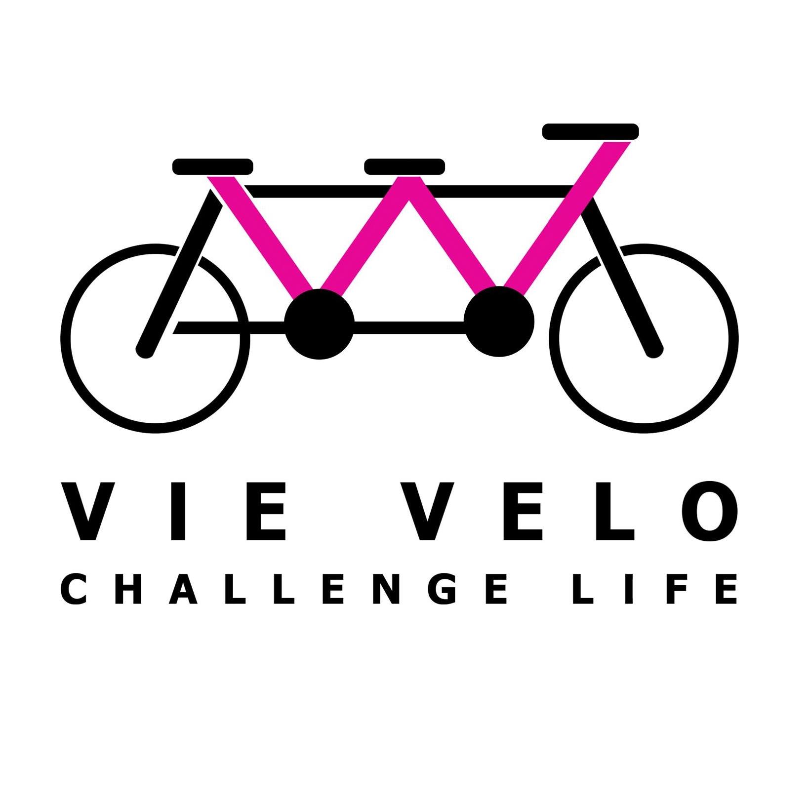 VIE Velo club logo