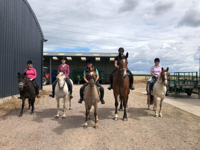 The equine team